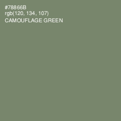 #78866B - Camouflage Green Color Image